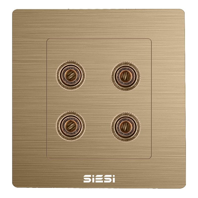 两位四孔音响插座-V6富贵金-PA视讯照明官网