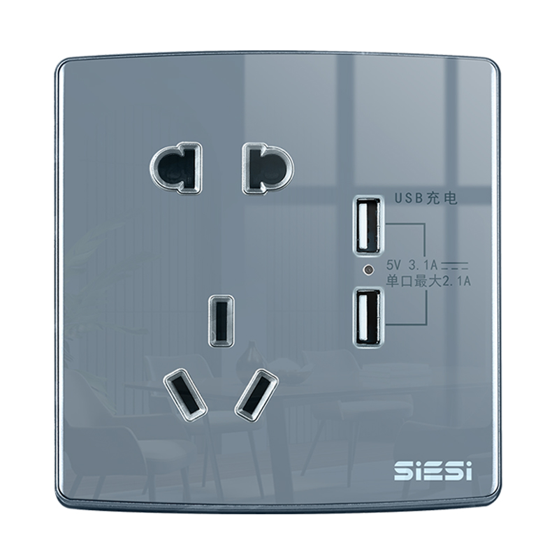 10A 二三极插座带双USB-V20玻璃系列-PA视讯照明官网